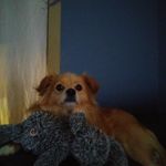 Melissa Ladner - @ladner100 - Instagram