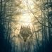 Melissa Ladner - Facebook