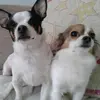 Melissa Lafond - @melissalafond - TikTok