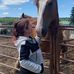 Melissa Lafond - Facebook