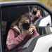 Moments and Memories Photography by Melissa Lasher - Facebook