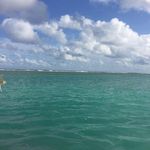 Melissa Lear - @learmiss - Instagram