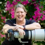 Melissa Lear Photography - @melissalearphotography - Instagram