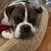 Melissa Leach - Facebook