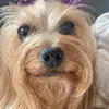 Melissa Leech - @melissaleech140 - TikTok