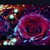 Melissa Leggett - Facebook
