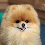 Мелисса корчуганова - @melissa_lego_love - Instagram