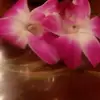 Melissa Lehr - @mlehr1211 - TikTok