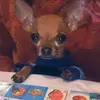 Melissa Leija - @melissaleija1 - TikTok