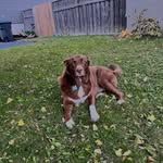 Melissa Lepine - @mel1279l - Instagram