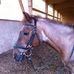 Melissa Lepp - Facebook