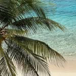 Melissa Lepp - @melissa.lepp.7 - Instagram