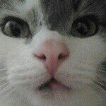 Melissa_SWD$♥ - @melissa_leppanen - Instagram