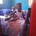 Melissa Lett - Facebook