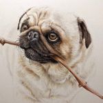 Melissa Letts Art - @melissalettsart - Instagram