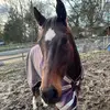Melissa - @melissalibby4 - TikTok