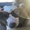 Melissa Lindquist - @melissalindquist75 - TikTok