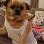 Melissa Litz - @melissa.litz.7 - Instagram
