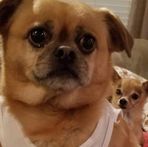 Melissa Litz - Facebook