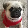 melissallanos76 - @melissallanos76 - TikTok