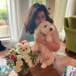 Melissa Sava Lobosco - @melissalobosco - Instagram