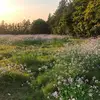 Melissa.lobos - @melisa.q89 - TikTok