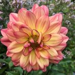 Melissa Loewen - Facebook