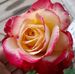Missy Powell - Facebook