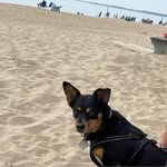 Melissa Forbes Loomer - @mloomer13 - Instagram