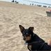 Melissa Loomer - Facebook