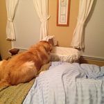 Melissa Navratil Lowder - @mlowder1 - Instagram
