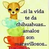 Melissa Loya - @melissaloya5 - TikTok