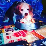 Melissa&Lucky - @melissabfti - Instagram