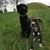 Melissa Lyttle - @melissa.lyttle7 - TikTok