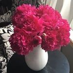 Melissa Macy-Kimmel - @get.upngo - Instagram