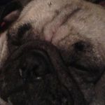 Melissa D Maggard - @melissadmaggard - Instagram