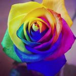 Melissa Maggard - @melissa.maggard.7731 - Instagram