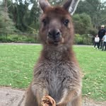Melissa Malin - @malin6816 - Instagram