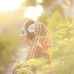 Melissa Marlowe - Facebook