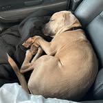 Melissa Masterson - @ccrose2004 - Instagram