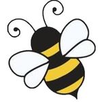 Melissa Masterson Duva, PhD - @bee_well_nyc - Instagram