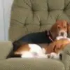 Melissa Mattes - @2184693446 - TikTok