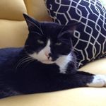 Melissa Mattice Fraser - @seta564 - Instagram