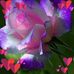 Melissa Mccarthy - Facebook