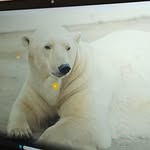 Melissa McComas - @mmccomas03 - Instagram