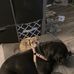 Melissa Meader - Facebook