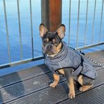 Melissa Meißner - @melm.ei3005 - Instagram