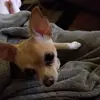 sisMelissa Melson - @sismelissa.melson - TikTok