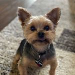Melissa Menchaca - @littledeez_world - Instagram