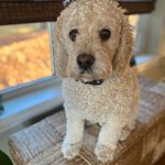 Melissa Mendel Burke - @mmb1969 - Instagram